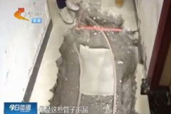 家里蛾子多怎么找源頭