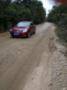 撿到刺猬是吉是兇