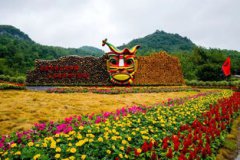 百里杜鵑幾月份去好