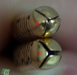 小獅子手鏈有什么意義