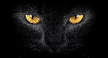 雞虱子爬人身上怎么辦，陽光下暴曬