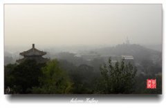 下午見喜鵲有什么兆頭