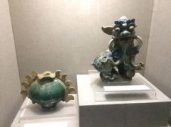 蜥蜴認(rèn)主人嗎