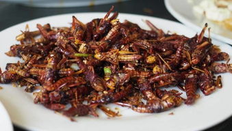 油炸螞蚱有鐵線蟲嗎