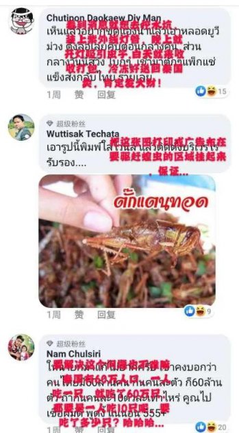 油炸螞蚱有鐵線蟲嗎