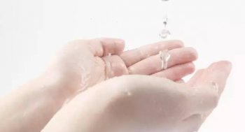 衣魚蟲對人的危害大嗎