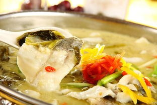 鱈魚是海魚還是淡水魚