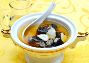 烏雞湯和什么相克