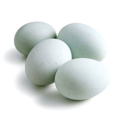 烏雞蛋是什么顏色