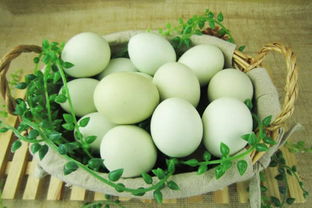 烏雞蛋是什么顏色