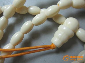 海象牙有收藏價(jià)值嗎