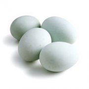 烏雞蛋是什么顏色