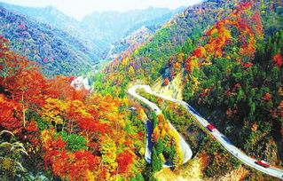 從重慶怎么去稻城亞丁