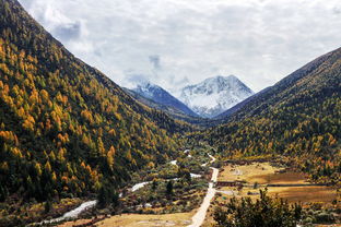 從重慶怎么去稻城亞丁