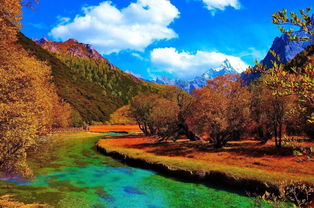 稻城亞丁在哪個省