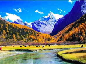 稻城亞丁在哪個省