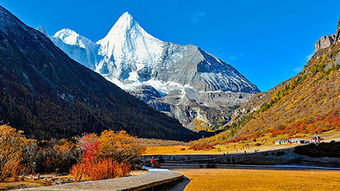稻城亞丁死了多少人