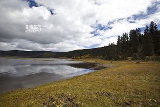 稻城亞丁死了多少人