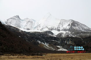 稻城亞丁死了多少人