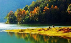 從重慶怎么去稻城亞丁