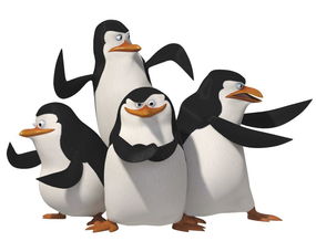 企鵝鰭足是什么意思