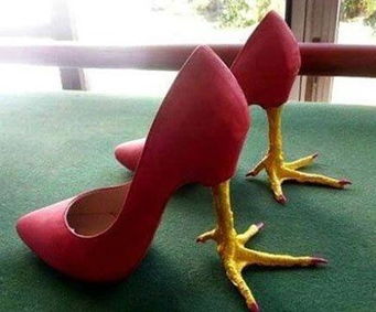 犰狳鞋怎么穿進(jìn)去