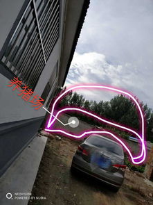 車上蒼蠅屎怎么去掉