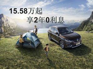 車上蒼蠅屎怎么去掉