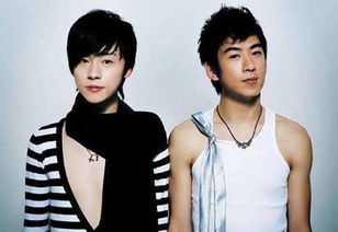 青鳥飛魚為什么解散