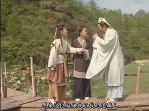 封神榜蓮花為什么變成蝴蝶