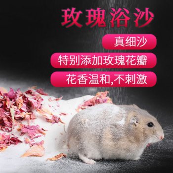 金絲熊洗澡怎么洗