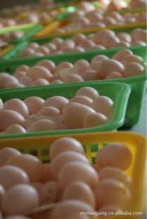 鴿子蛋能美容嗎