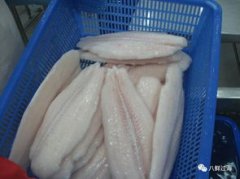 巴沙魚是深海魚嗎