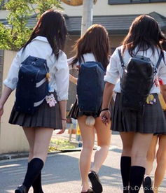 狐貍的夏天朱丹什么時候被揭穿