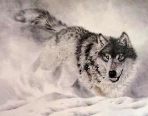 狼窩里的山羊的歇后語是什么