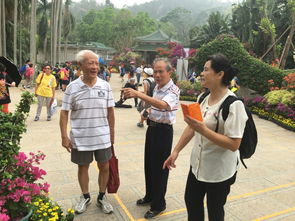 三角梅為啥老起蚜蟲