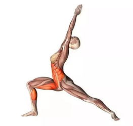 烏鴉式瑜伽怎么練