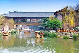 天鵝蛋花有什么攻效