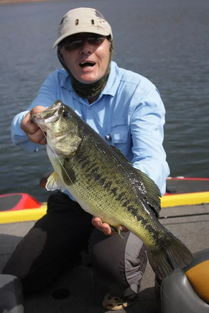 用蝦釣鱸魚(yú)釣多少水位
