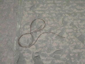 鐵線蟲高溫能殺死嗎