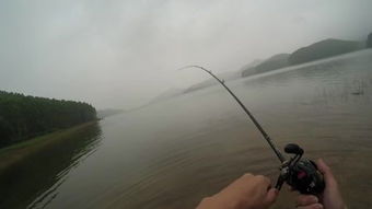 雨后可以路亞黑魚嗎