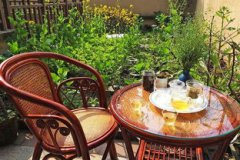 三角梅為啥老起蚜蟲