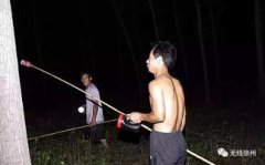 下雨天知了猴會出來嗎