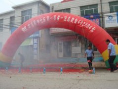 喜鵲落窗什么兆頭