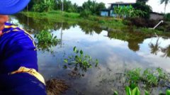 雨后可以路亞黑魚嗎