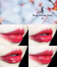 圣羅蘭為什么叫楊樹(shù)林