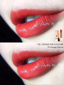 圣羅蘭為什么叫楊樹(shù)林