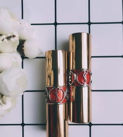 圣羅蘭和楊樹林是一個牌子嗎