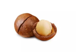 夏威夷果一天吃幾個(gè)比較好