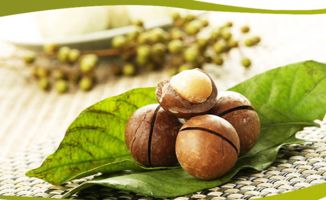 夏威夷果一天吃幾個(gè)比較好